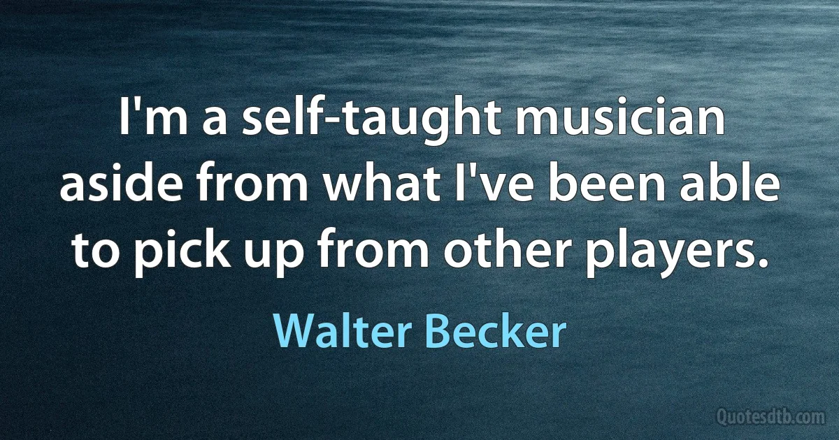 I'm a self-taught musician aside from what I've been able to pick up from other players. (Walter Becker)