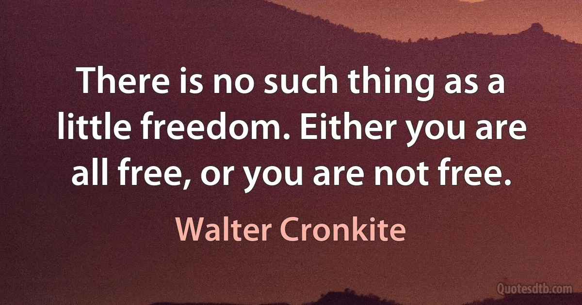 There is no such thing as a little freedom. Either you are all free, or you are not free. (Walter Cronkite)