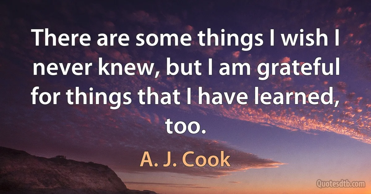 There are some things I wish I never knew, but I am grateful for things that I have learned, too. (A. J. Cook)