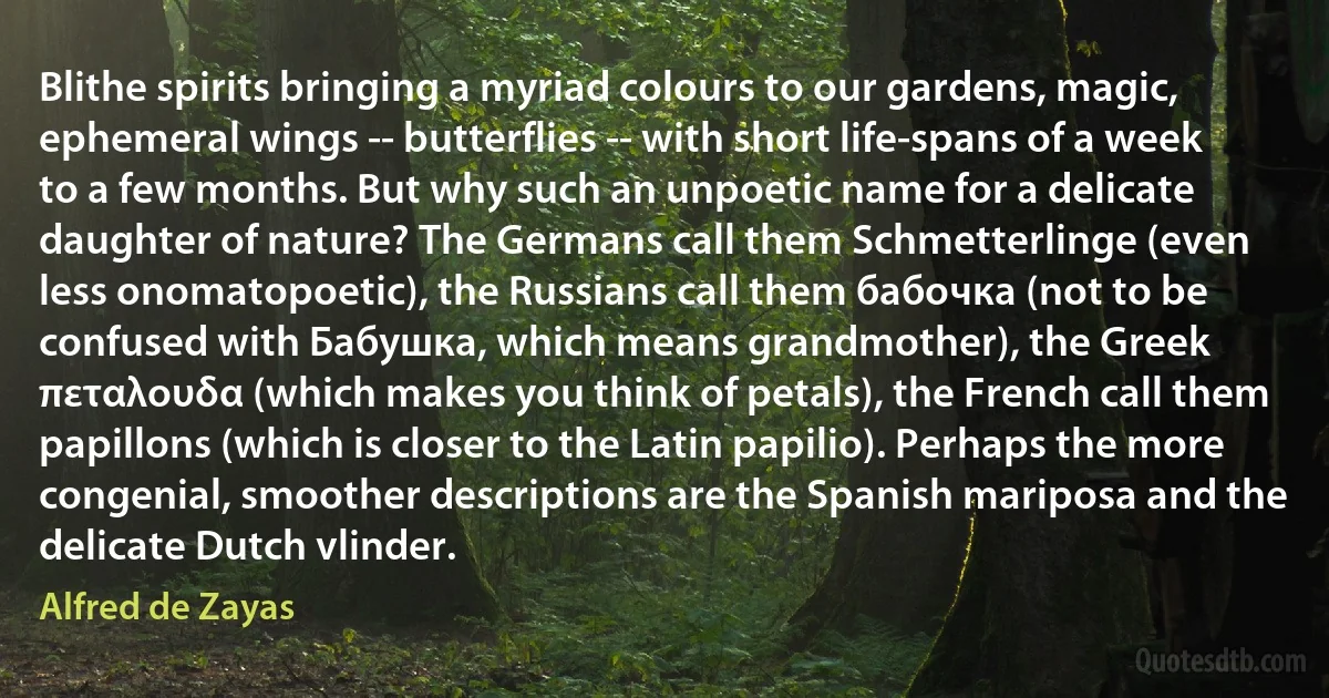 Blithe spirits bringing a myriad colours to our gardens, magic, ephemeral wings -- butterflies -- with short life-spans of a week to a few months. But why such an unpoetic name for a delicate daughter of nature? The Germans call them Schmetterlinge (even less onomatopoetic), the Russians call them бабочка (not to be confused with Бабушка, which means grandmother), the Greek πεταλουδα (which makes you think of petals), the French call them papillons (which is closer to the Latin papilio). Perhaps the more congenial, smoother descriptions are the Spanish mariposa and the delicate Dutch vlinder. (Alfred de Zayas)