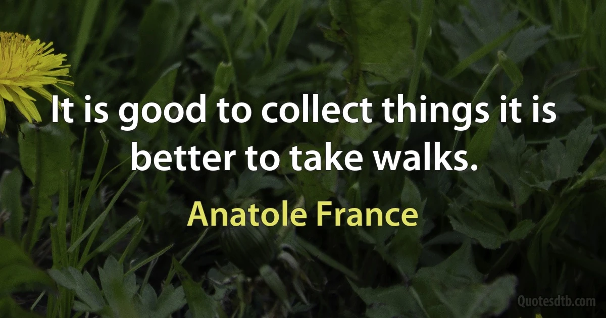 It is good to collect things it is better to take walks. (Anatole France)