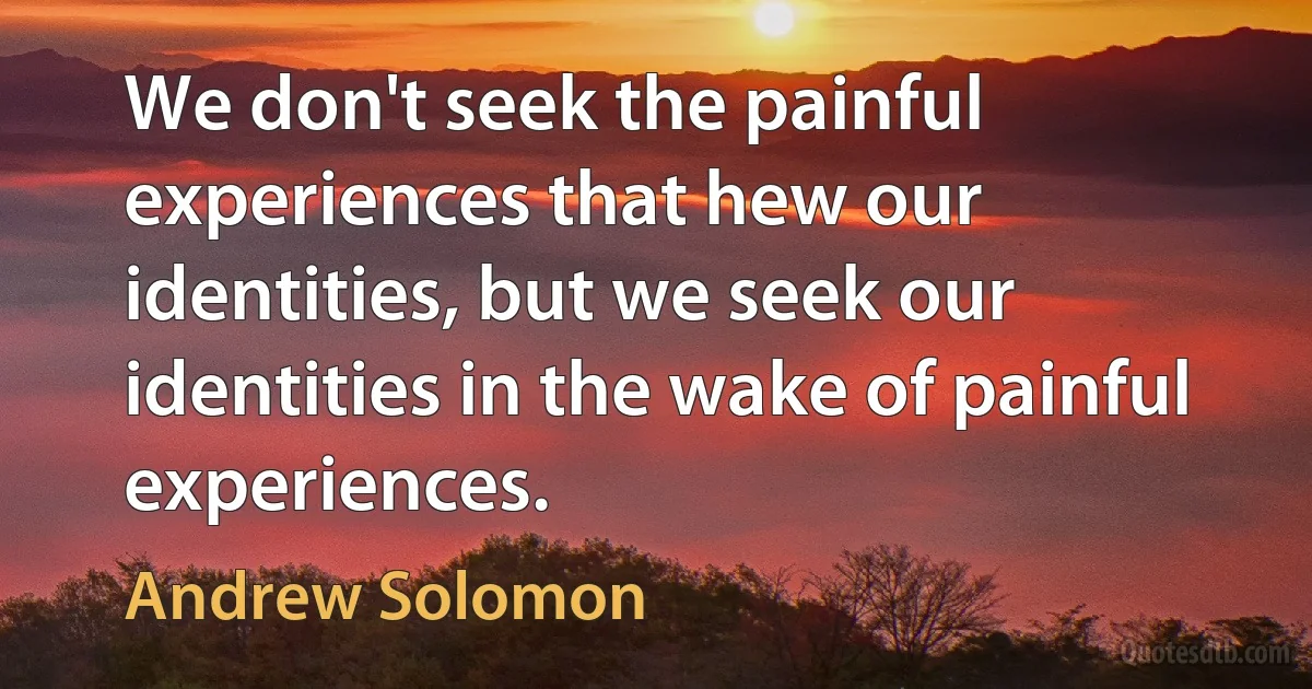 We don't seek the painful experiences that hew our identities, but we seek our identities in the wake of painful experiences. (Andrew Solomon)