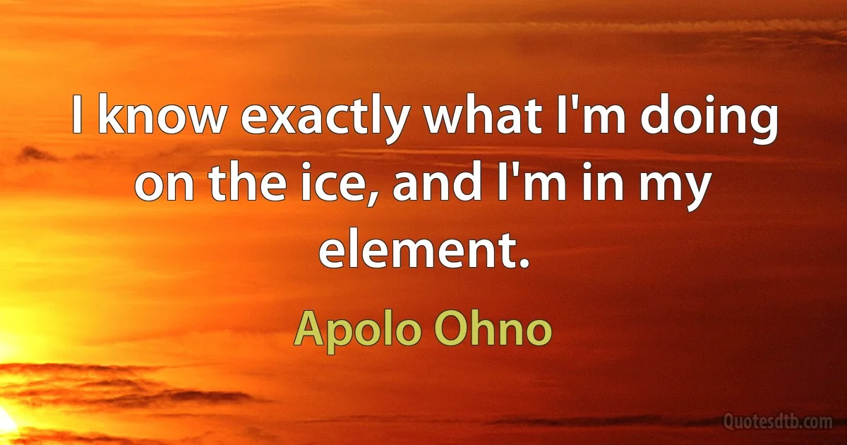 I know exactly what I'm doing on the ice, and I'm in my element. (Apolo Ohno)