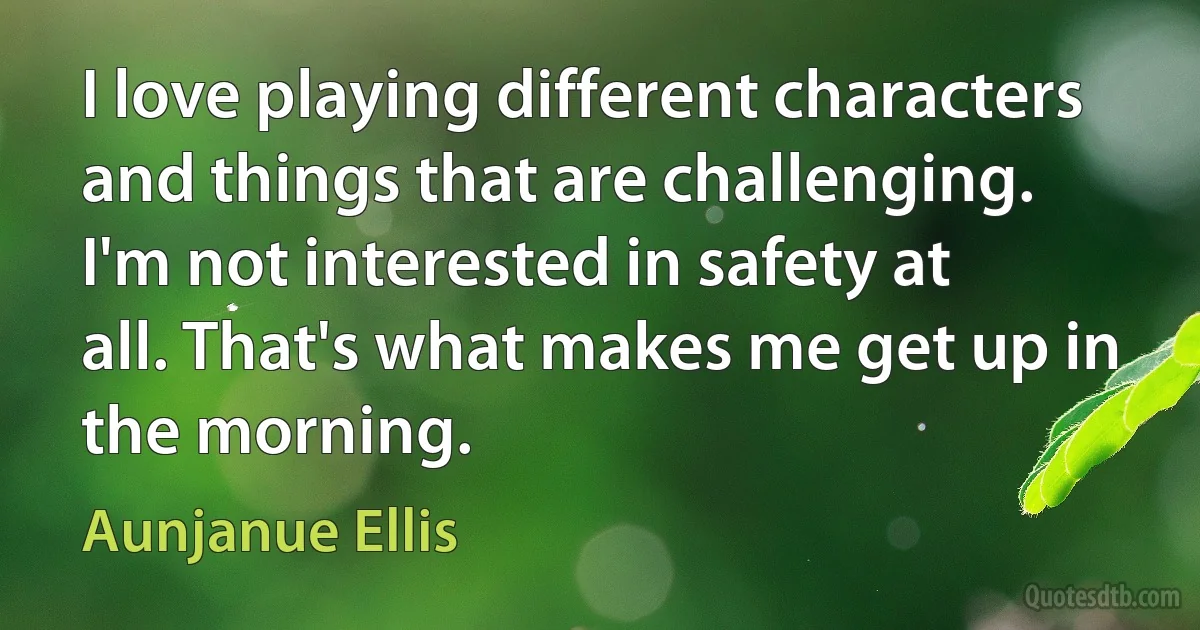 I love playing different characters and things that are challenging. I'm not interested in safety at all. That's what makes me get up in the morning. (Aunjanue Ellis)