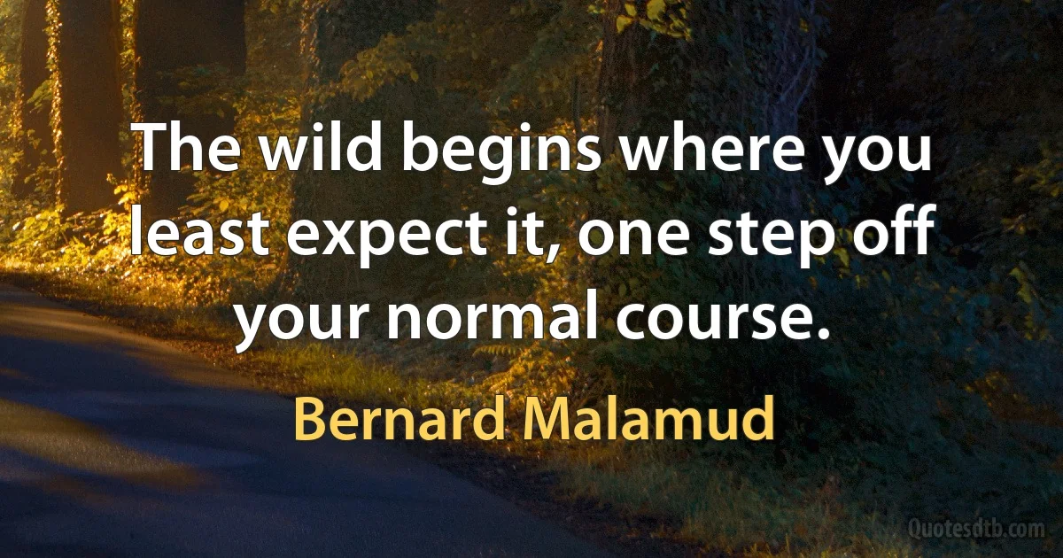 The wild begins where you least expect it, one step off your normal course. (Bernard Malamud)