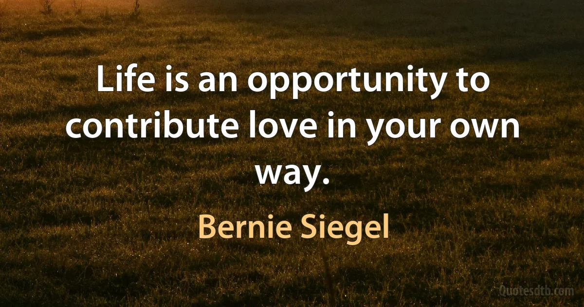 Life is an opportunity to contribute love in your own way. (Bernie Siegel)