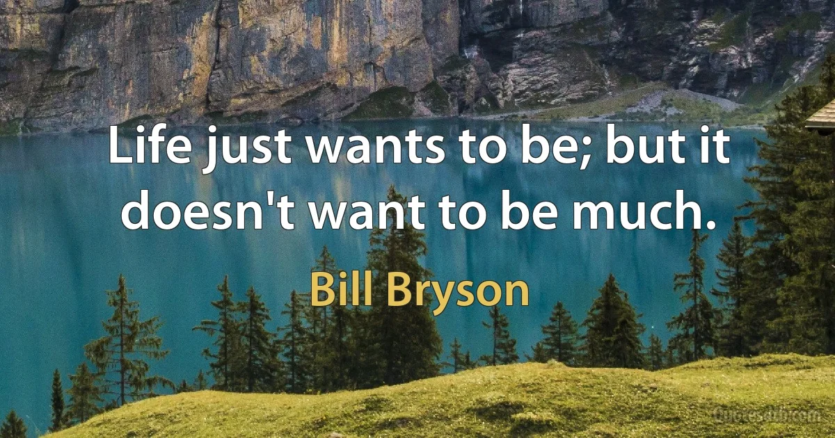 Life just wants to be; but it doesn't want to be much. (Bill Bryson)