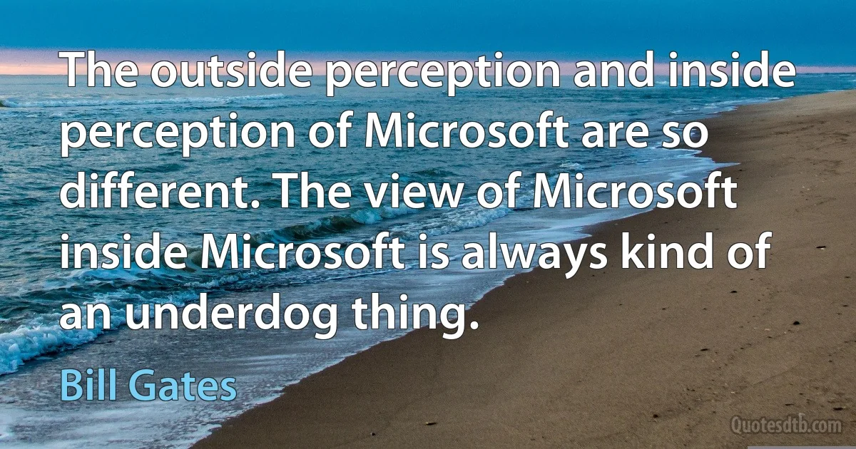 The outside perception and inside perception of Microsoft are so different. The view of Microsoft inside Microsoft is always kind of an underdog thing. (Bill Gates)