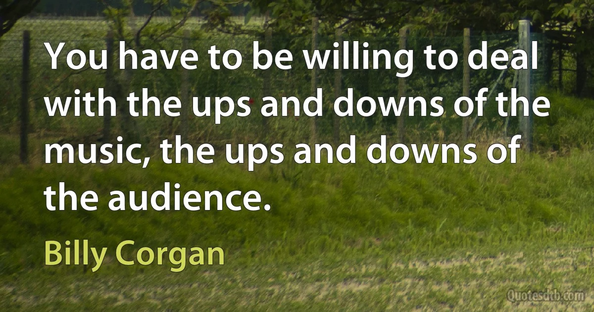 You have to be willing to deal with the ups and downs of the music, the ups and downs of the audience. (Billy Corgan)