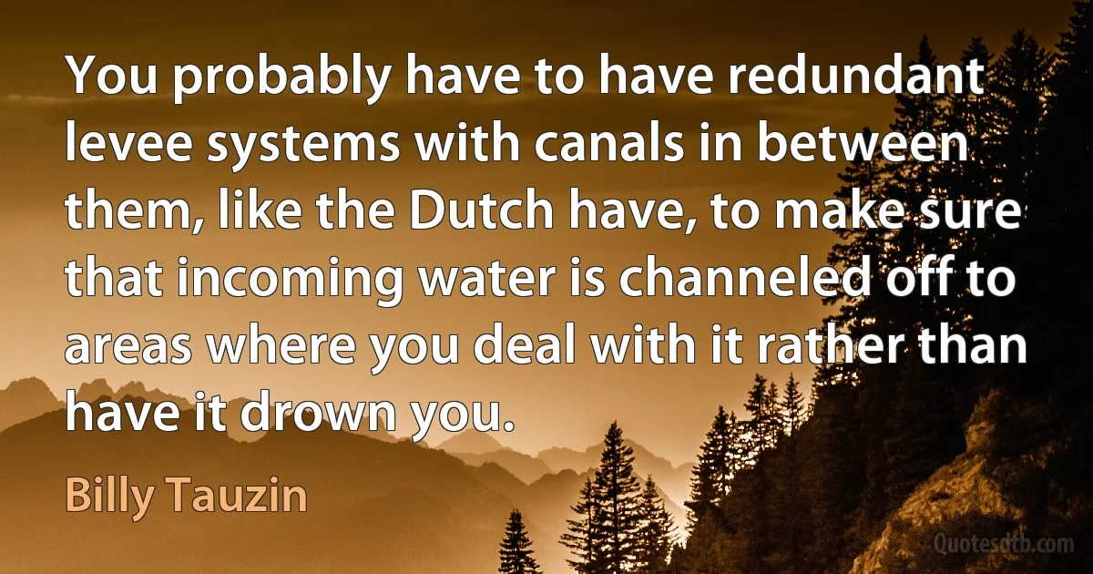 You probably have to have redundant levee systems with canals in between them, like the Dutch have, to make sure that incoming water is channeled off to areas where you deal with it rather than have it drown you. (Billy Tauzin)