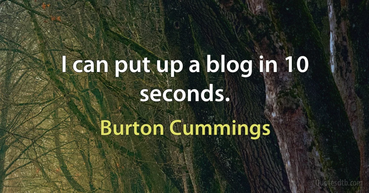 I can put up a blog in 10 seconds. (Burton Cummings)