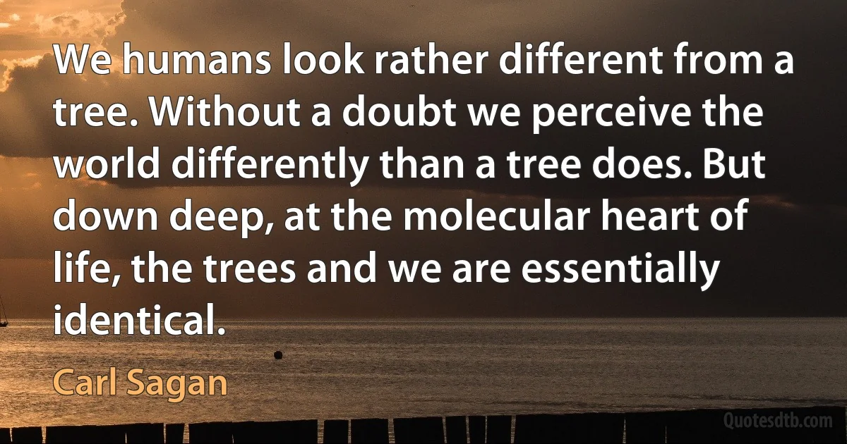 We humans look rather different from a tree. Without a doubt we perceive the world differently than a tree does. But down deep, at the molecular heart of life, the trees and we are essentially identical. (Carl Sagan)