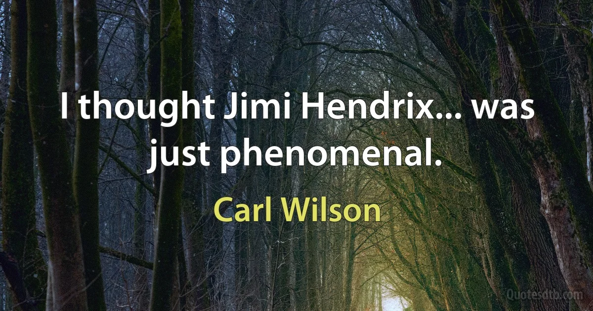 I thought Jimi Hendrix... was just phenomenal. (Carl Wilson)