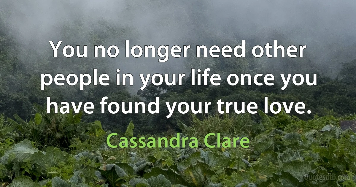 You no longer need other people in your life once you have found your true love. (Cassandra Clare)