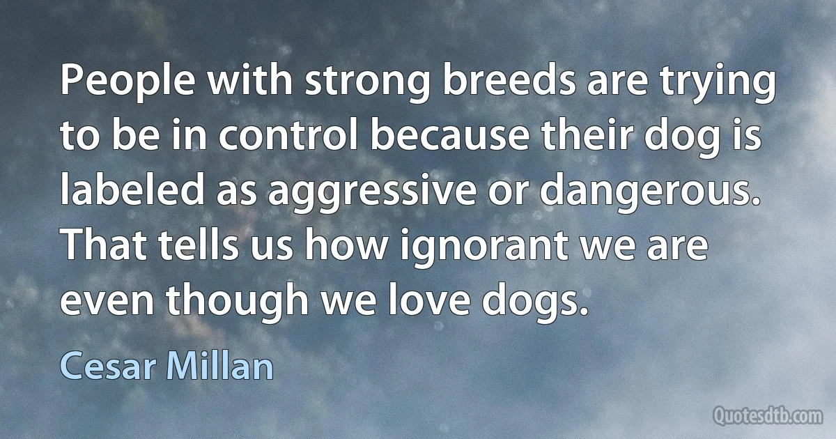 People with strong breeds are trying to be in control because their dog is labeled as aggressive or dangerous. That tells us how ignorant we are even though we love dogs. (Cesar Millan)