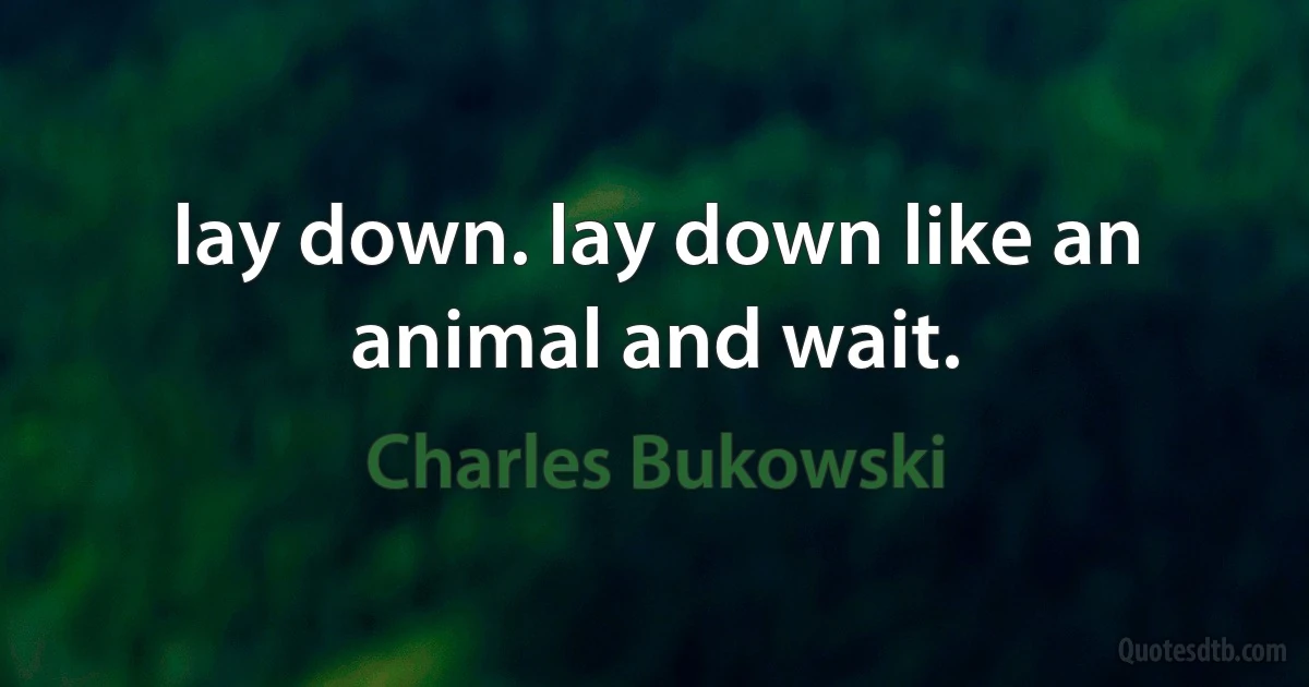 lay down. lay down like an animal and wait. (Charles Bukowski)