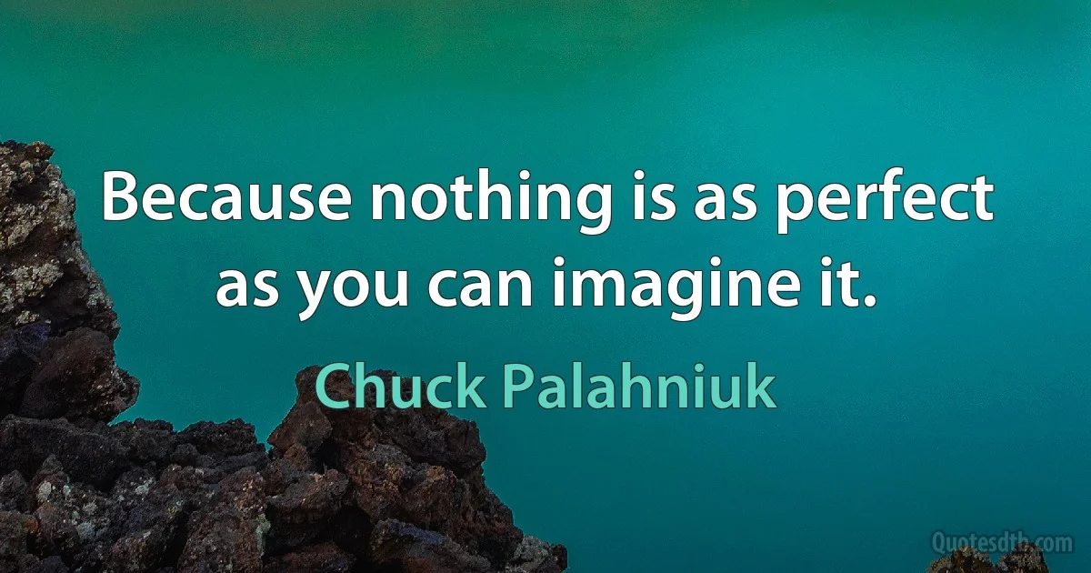 Because nothing is as perfect as you can imagine it. (Chuck Palahniuk)