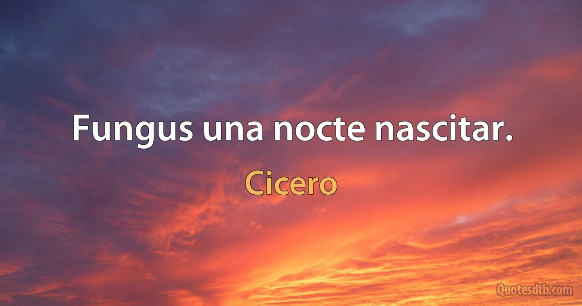 Fungus una nocte nascitar. (Cicero)