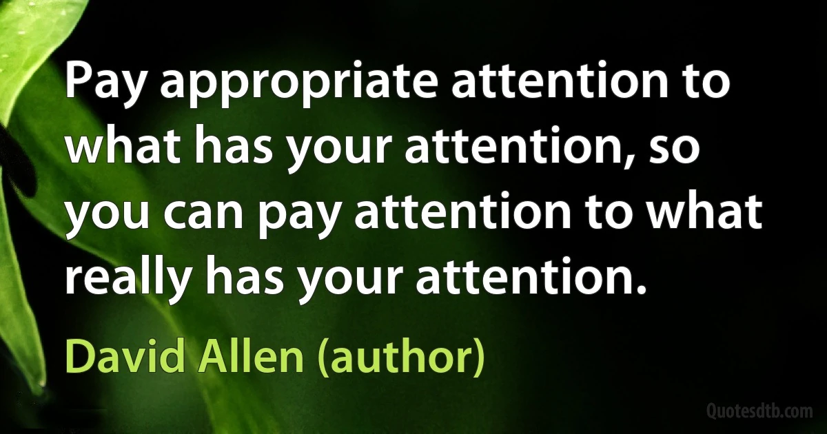 Pay appropriate attention to what has your attention, so you can pay attention to what really has your attention. (David Allen (author))