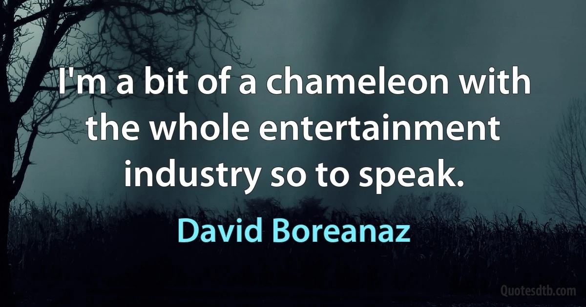 I'm a bit of a chameleon with the whole entertainment industry so to speak. (David Boreanaz)