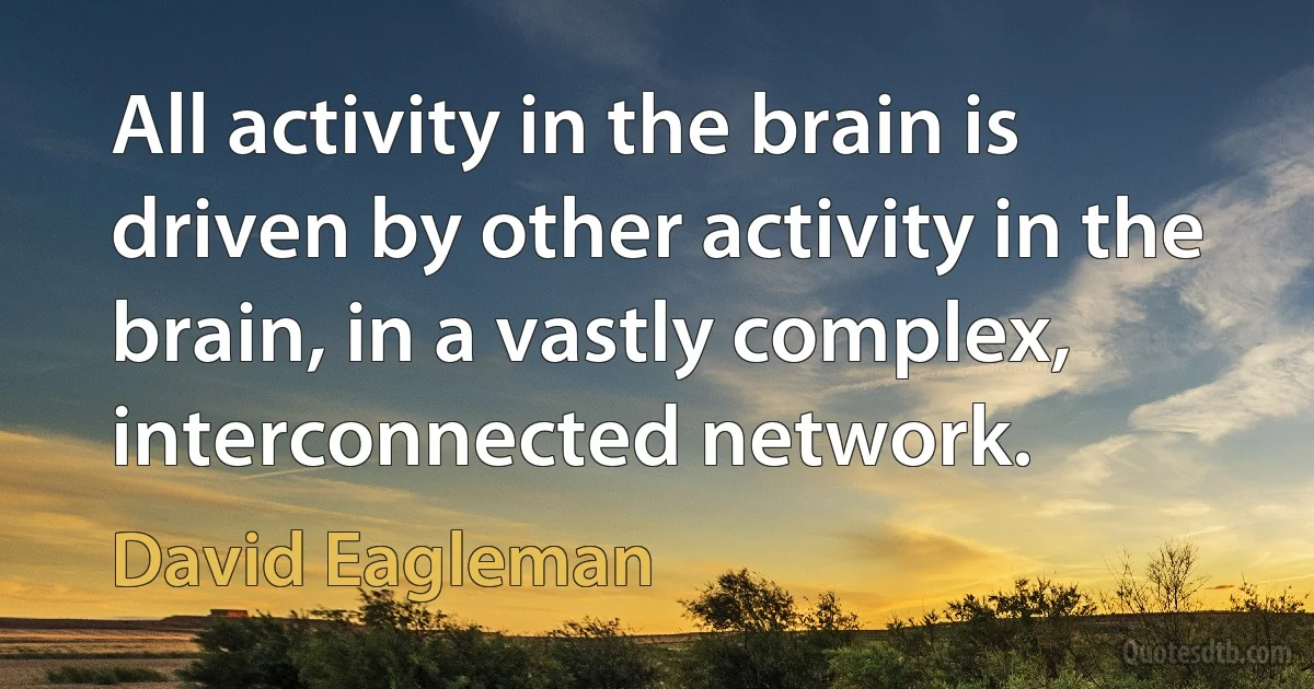 All activity in the brain is driven by other activity in the brain, in a vastly complex, interconnected network. (David Eagleman)