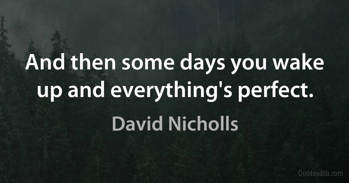 And then some days you wake up and everything's perfect. (David Nicholls)