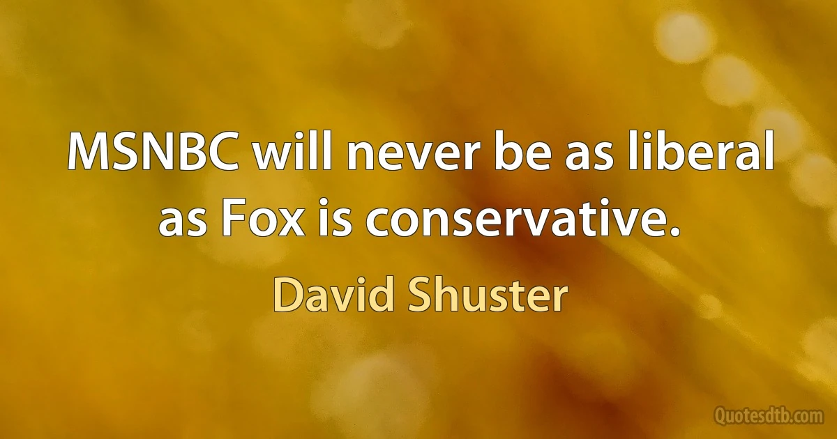 MSNBC will never be as liberal as Fox is conservative. (David Shuster)