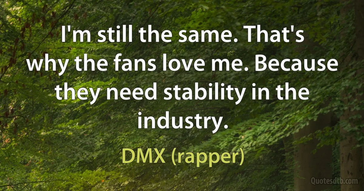 I'm still the same. That's why the fans love me. Because they need stability in the industry. (DMX (rapper))