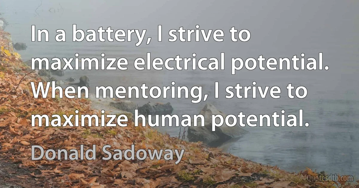 In a battery, I strive to maximize electrical potential. When mentoring, I strive to maximize human potential. (Donald Sadoway)