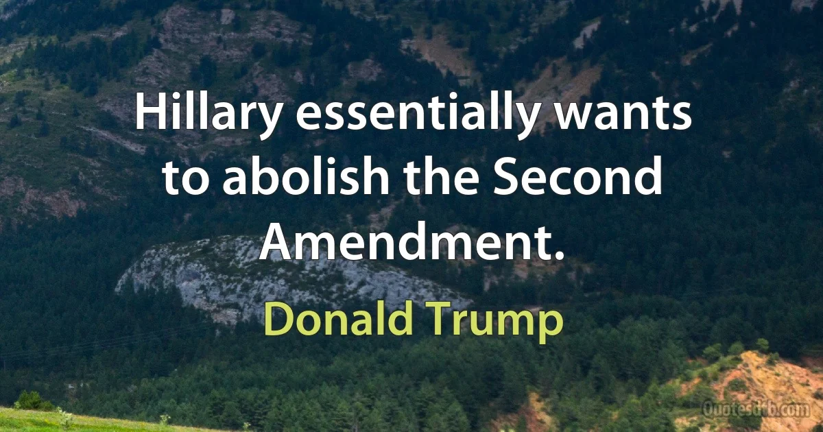 Hillary essentially wants to abolish the Second Amendment. (Donald Trump)