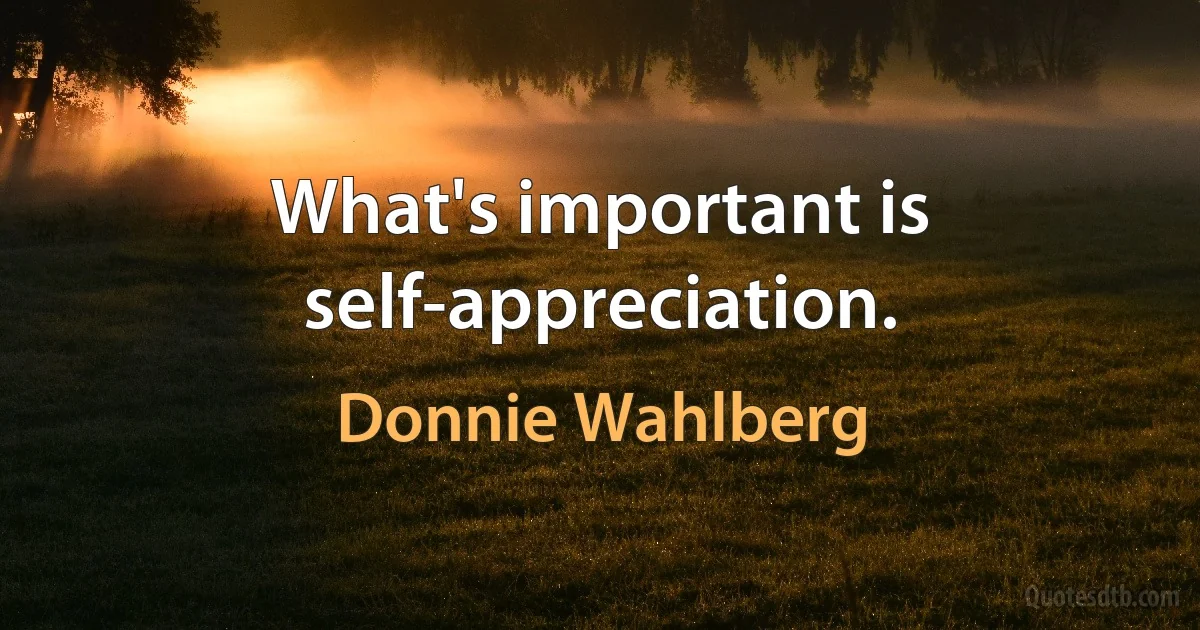 What's important is self-appreciation. (Donnie Wahlberg)