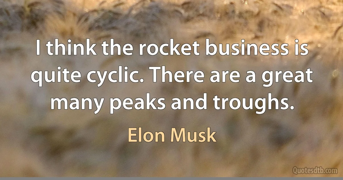 I think the rocket business is quite cyclic. There are a great many peaks and troughs. (Elon Musk)