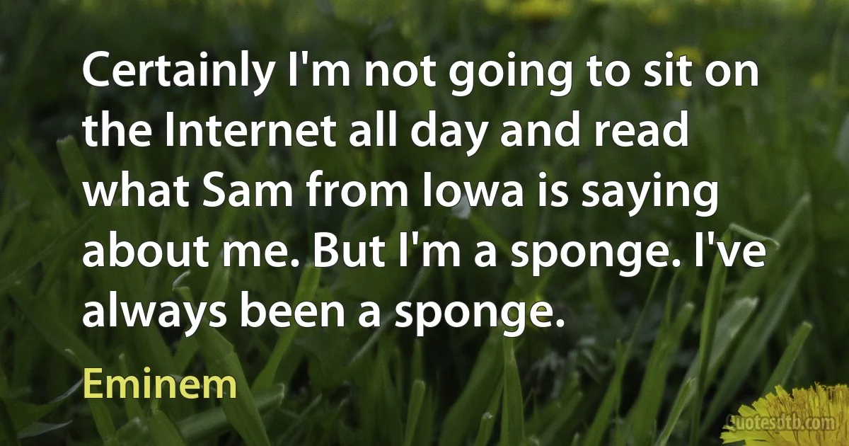 Certainly I'm not going to sit on the Internet all day and read what Sam from Iowa is saying about me. But I'm a sponge. I've always been a sponge. (Eminem)