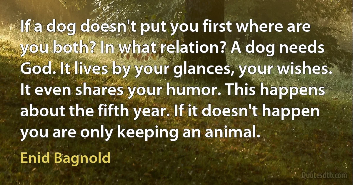 If a dog doesn't put you first where are you both? In what relation? A dog needs God. It lives by your glances, your wishes. It even shares your humor. This happens about the fifth year. If it doesn't happen you are only keeping an animal. (Enid Bagnold)