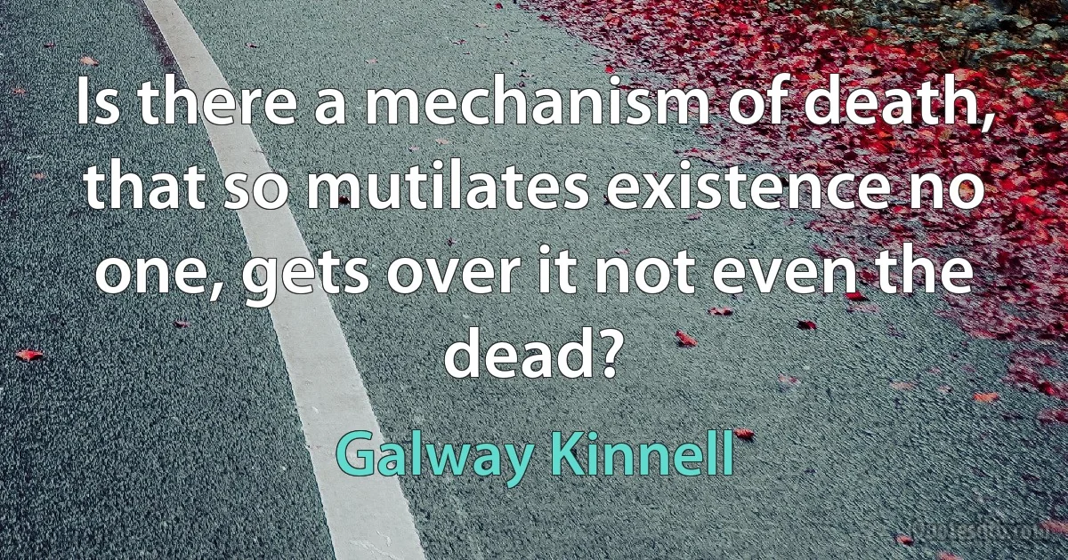 Is there a mechanism of death, that so mutilates existence no one, gets over it not even the dead? (Galway Kinnell)