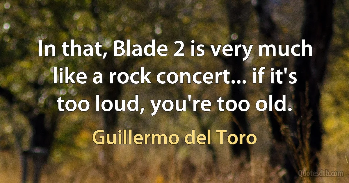 In that, Blade 2 is very much like a rock concert... if it's too loud, you're too old. (Guillermo del Toro)