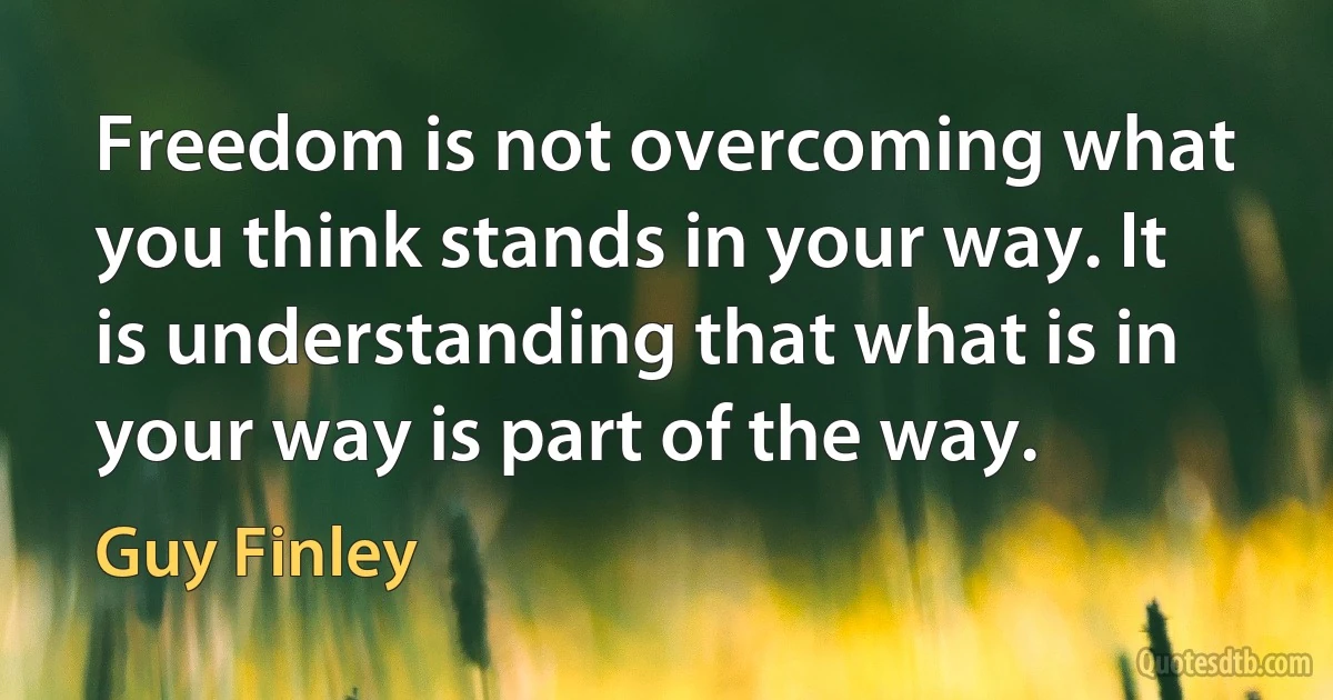 Freedom is not overcoming what you think stands in your way. It is understanding that what is in your way is part of the way. (Guy Finley)