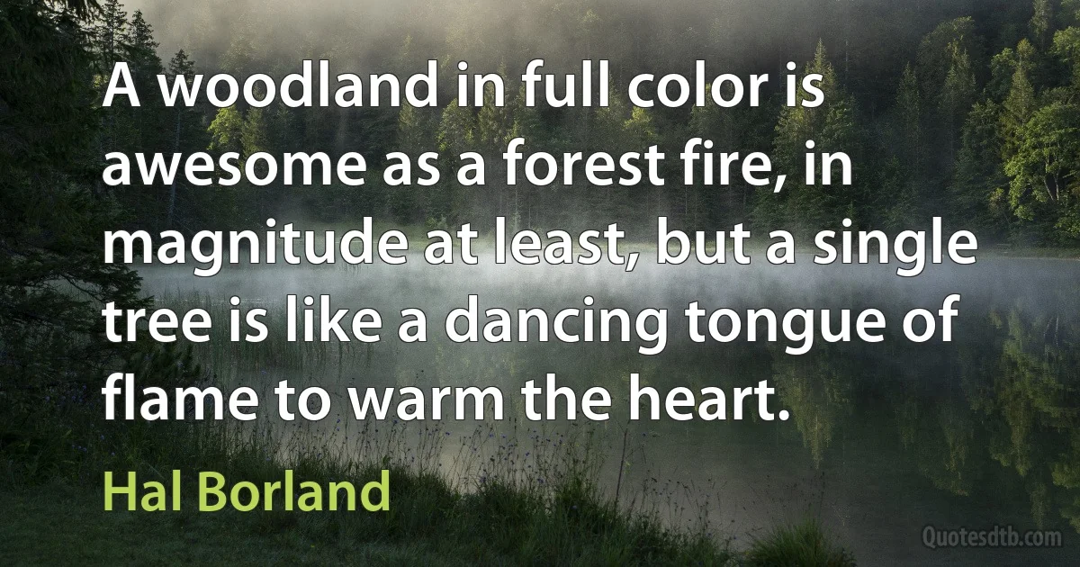 A woodland in full color is awesome as a forest fire, in magnitude at least, but a single tree is like a dancing tongue of flame to warm the heart. (Hal Borland)