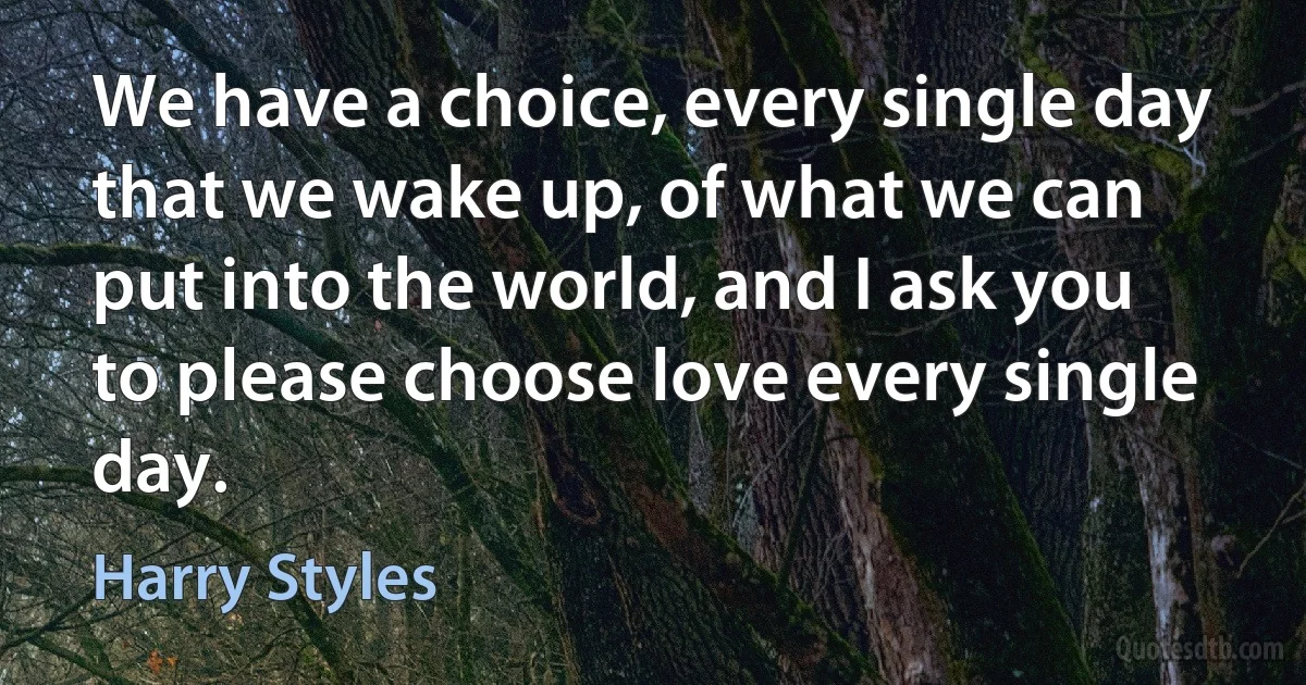 We have a choice, every single day that we wake up, of what we can put into the world, and I ask you to please choose love every single day. (Harry Styles)