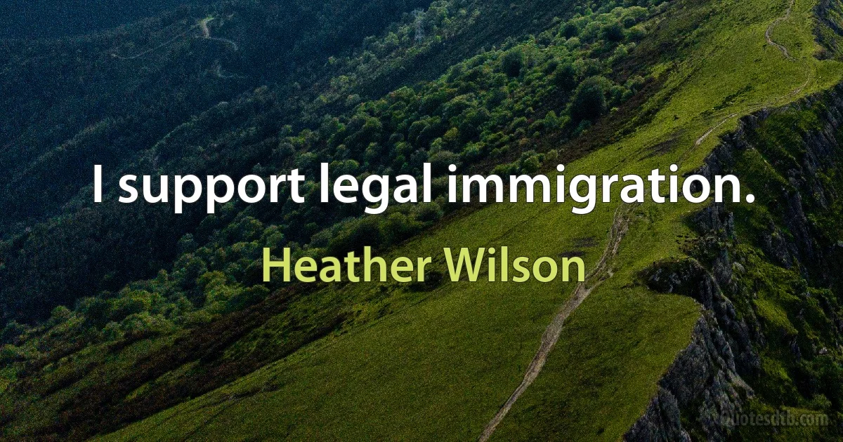 I support legal immigration. (Heather Wilson)