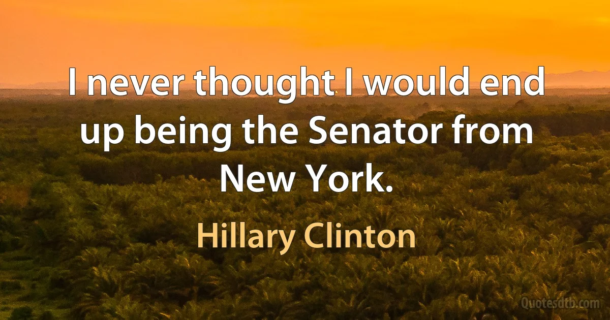 I never thought I would end up being the Senator from New York. (Hillary Clinton)