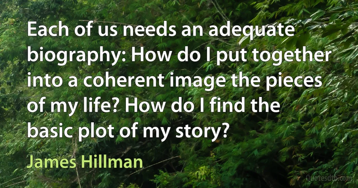 Each of us needs an adequate biography: How do I put together into a coherent image the pieces of my life? How do I find the basic plot of my story? (James Hillman)