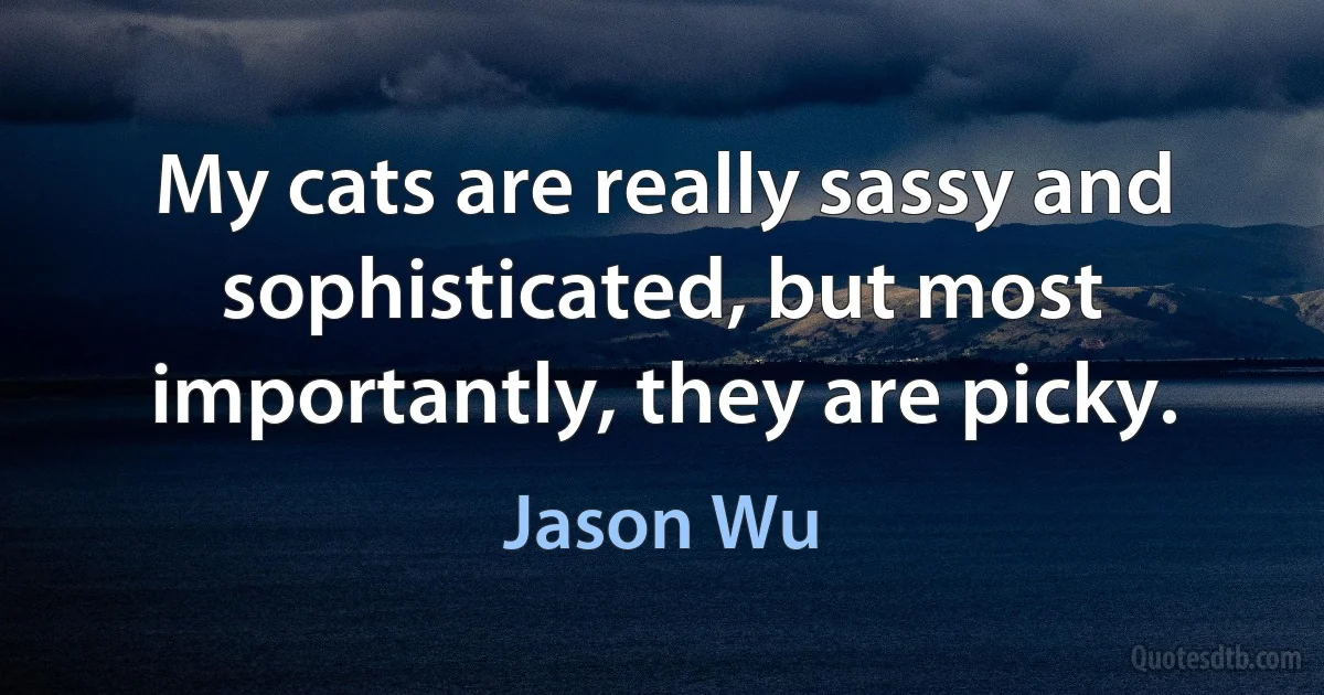 My cats are really sassy and sophisticated, but most importantly, they are picky. (Jason Wu)