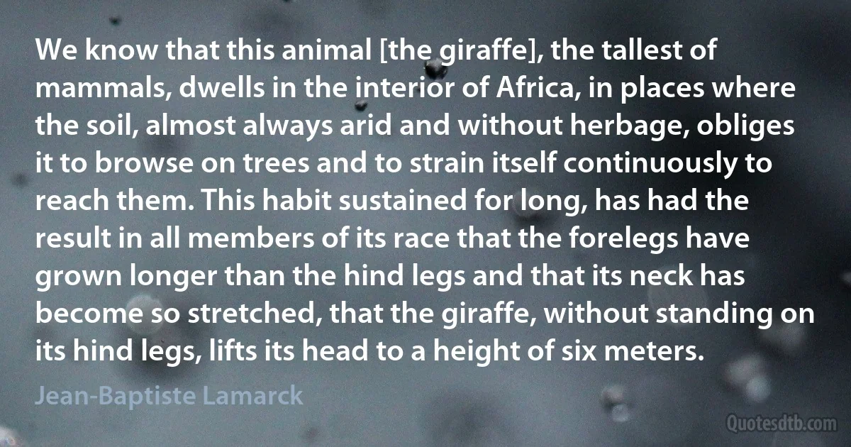 We know that this animal [the giraffe], the tallest of mammals, dwells in the interior of Africa, in places where the soil, almost always arid and without herbage, obliges it to browse on trees and to strain itself continuously to reach them. This habit sustained for long, has had the result in all members of its race that the forelegs have grown longer than the hind legs and that its neck has become so stretched, that the giraffe, without standing on its hind legs, lifts its head to a height of six meters. (Jean-Baptiste Lamarck)