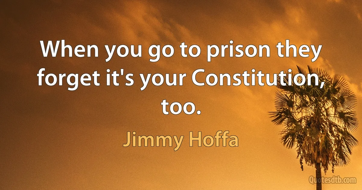 When you go to prison they forget it's your Constitution, too. (Jimmy Hoffa)