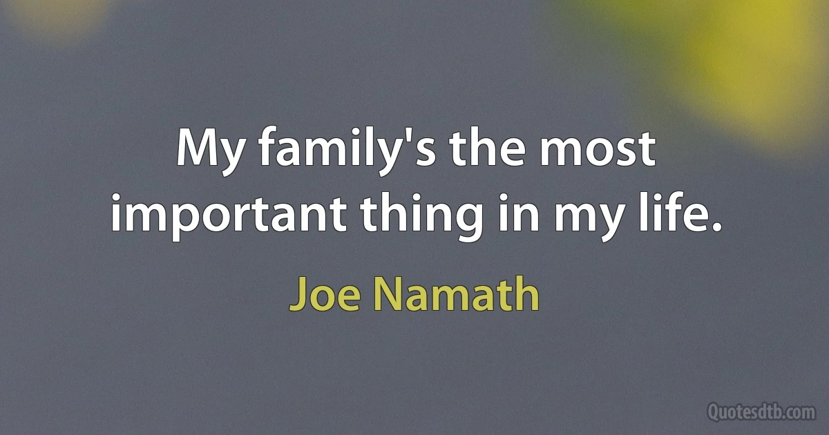 My family's the most important thing in my life. (Joe Namath)