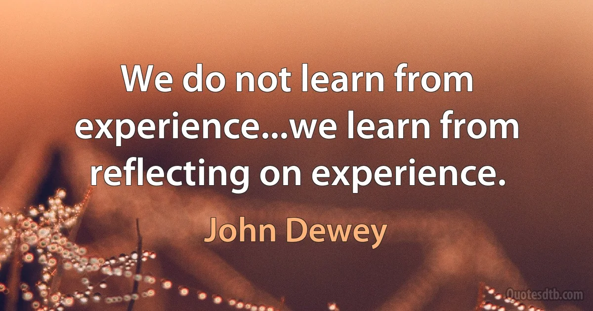 We do not learn from experience...we learn from reflecting on experience. (John Dewey)