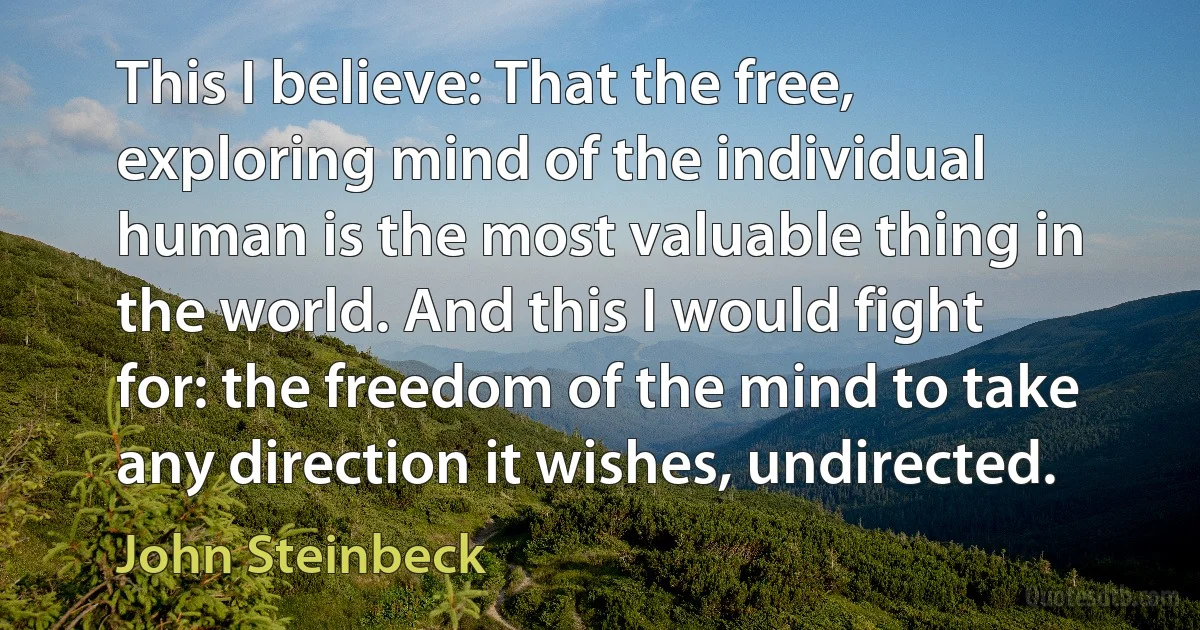 This I believe: That the free, exploring mind of the individual human is the most valuable thing in the world. And this I would fight for: the freedom of the mind to take any direction it wishes, undirected. (John Steinbeck)