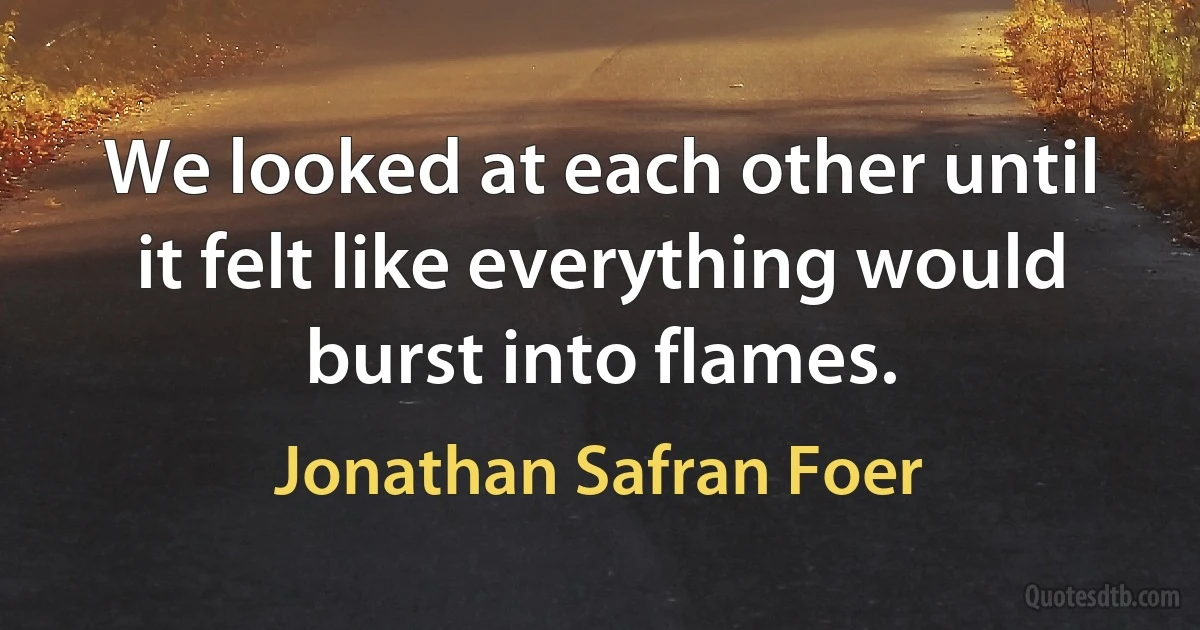 We looked at each other until it felt like everything would burst into flames. (Jonathan Safran Foer)