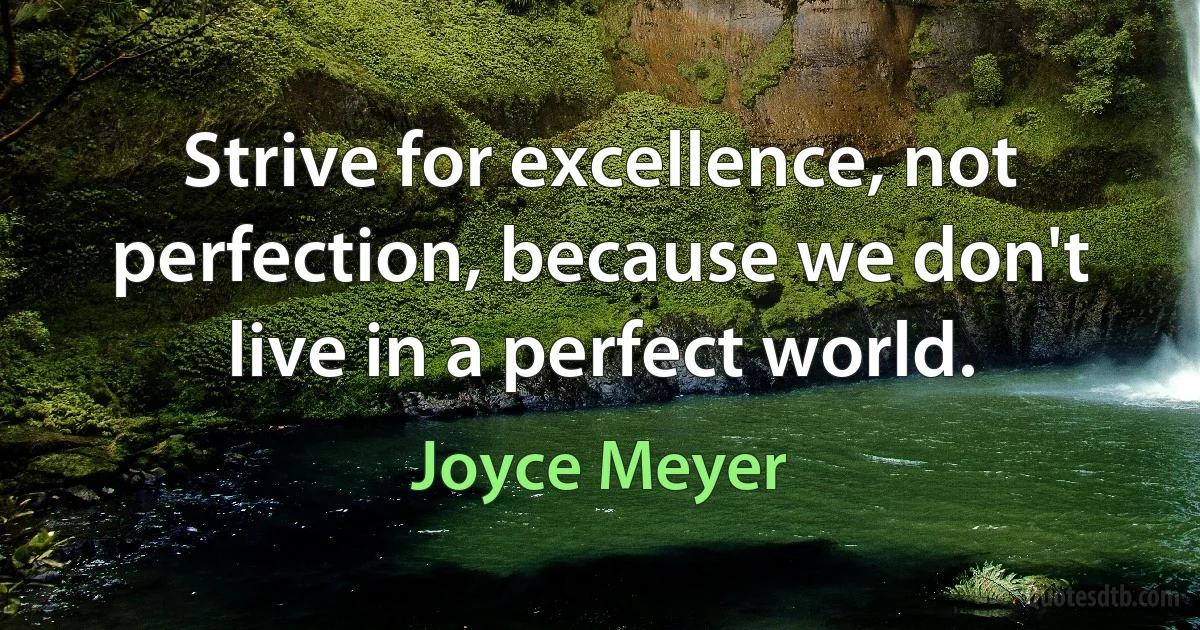 Strive for excellence, not perfection, because we don't live in a perfect world. (Joyce Meyer)